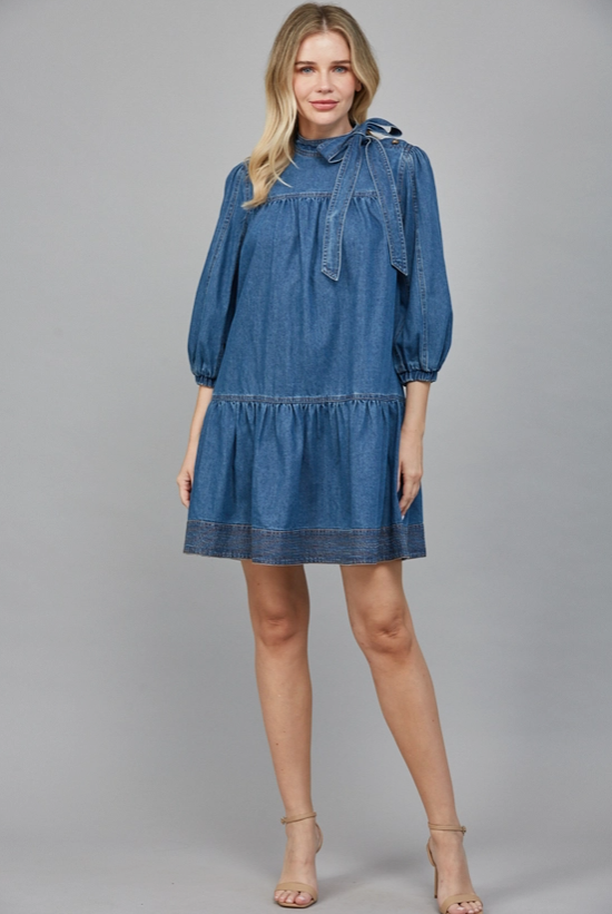 Denim Bow Dress